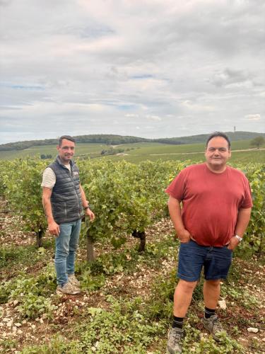 Vendanges 2026 (suite)