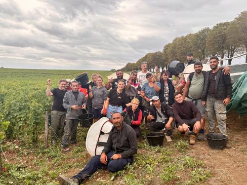Vendanges 2026 (suite)