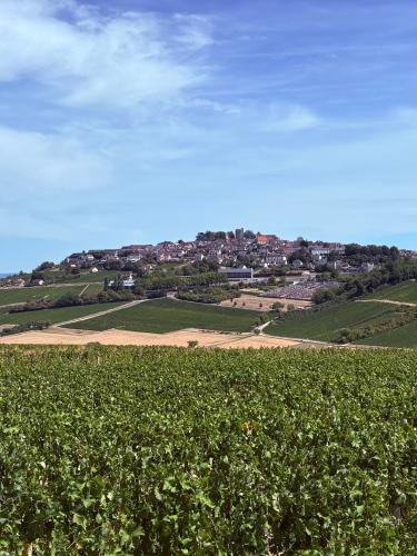 Vendanges 2026