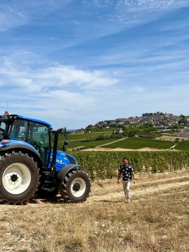 Vendanges 2026