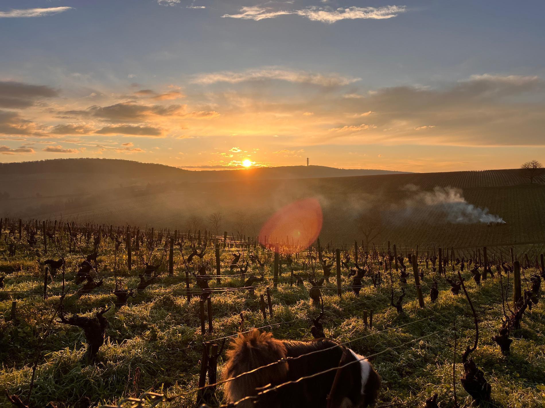 Paysages de d&eacute;cembre