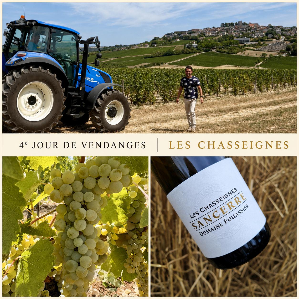 Vendanges 2026